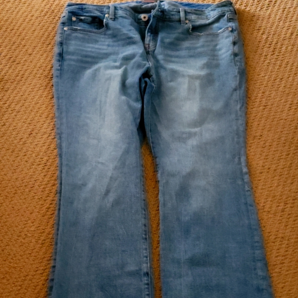 Torrid Jeans